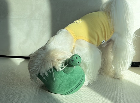 은정원 이미지