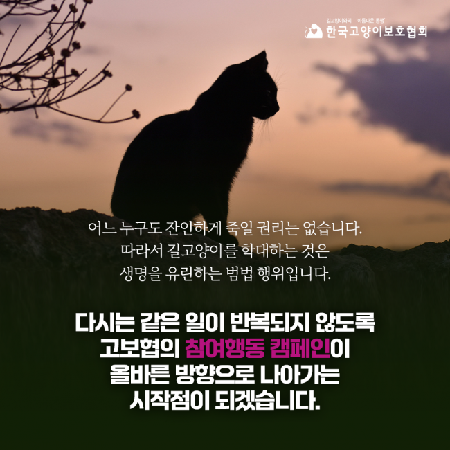 동물보호협회 동행 이미지