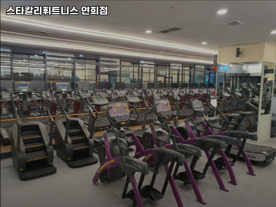스타칼리 이미지
