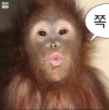석원 이미지