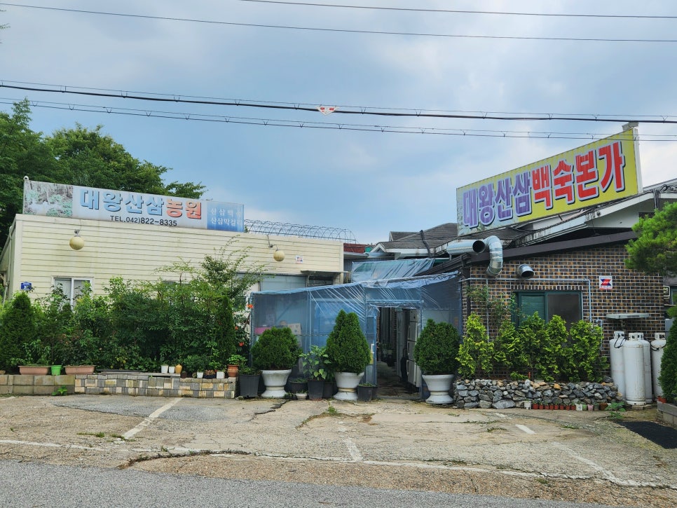 대왕산삼백숙본가 이미지