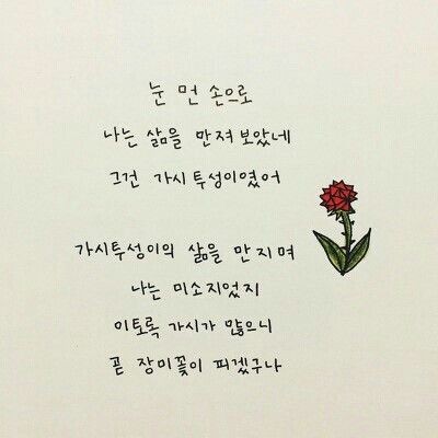 오늘의다은 이미지