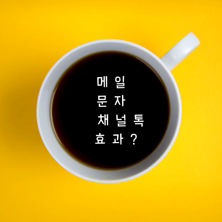 홍보성 이미지
