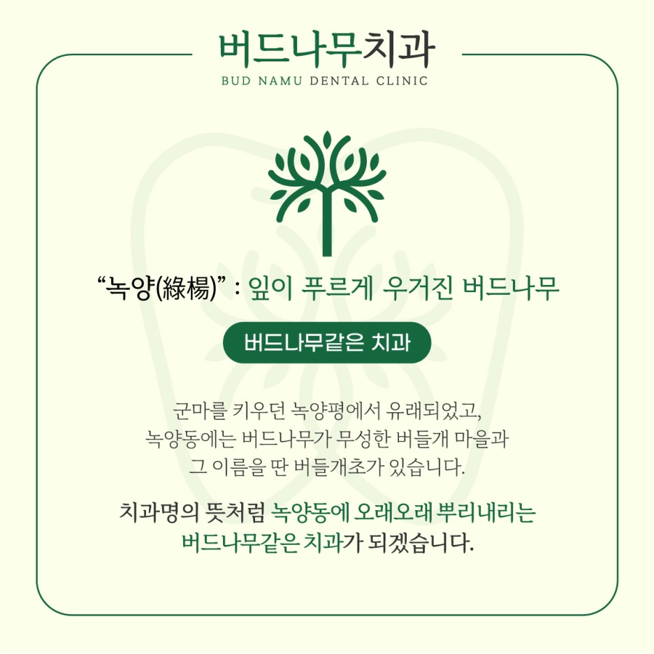 버드나무치과의원 이미지