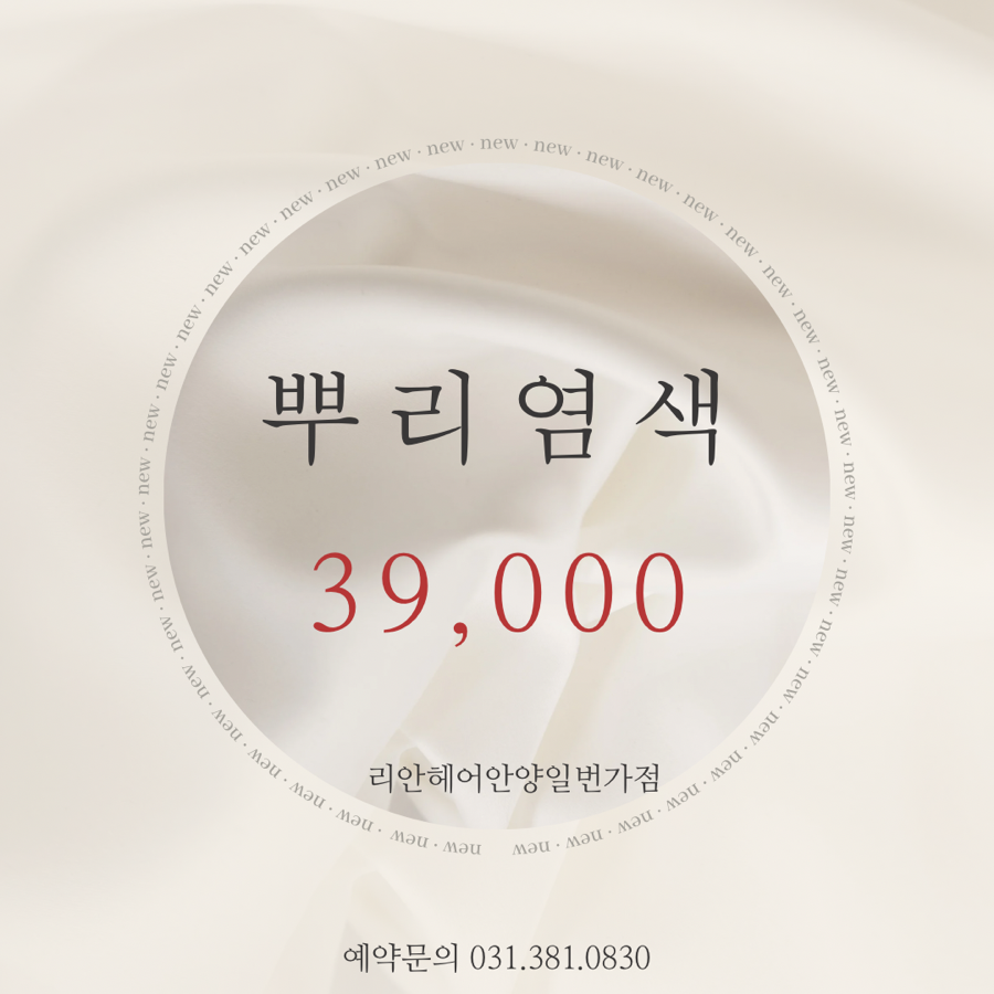 젤라 이미지
