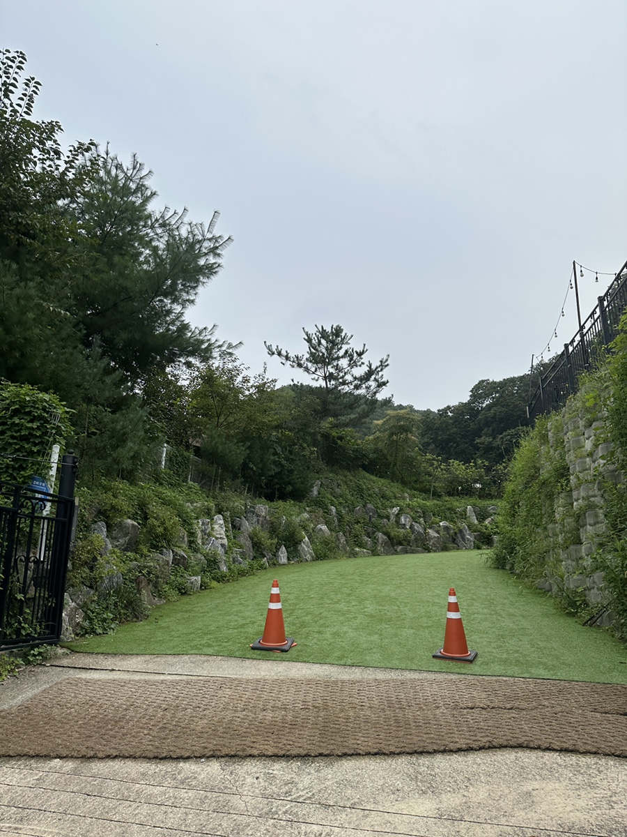 용인 별똥구리 애견운동장 재방문 후기 및 꿀팁 — 사진 2