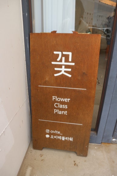 오비떼플라워 이미지