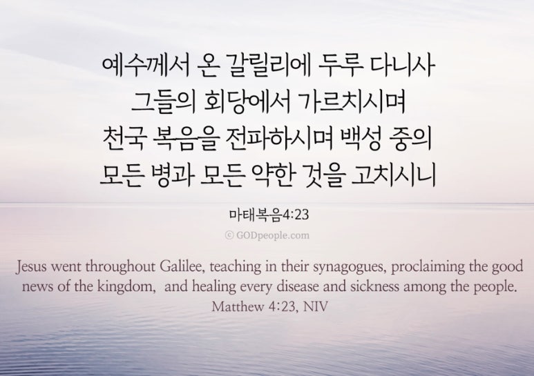 (주)안 이미지