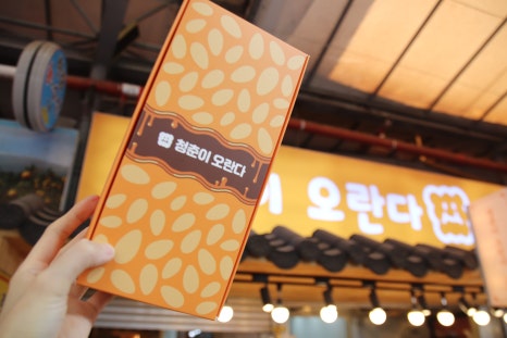 청춘이오란다 이미지