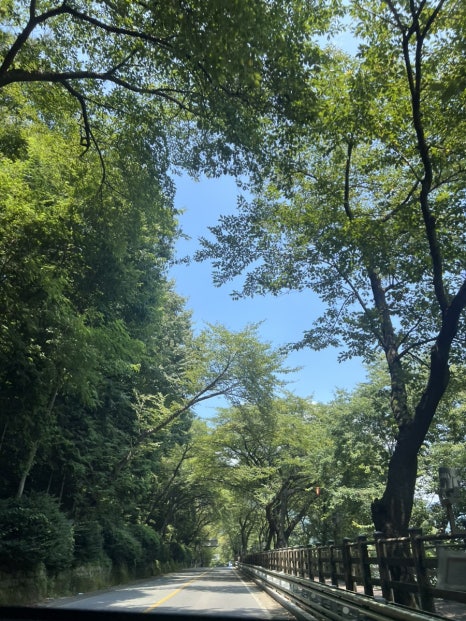 오빠다 야채과일 이미지
