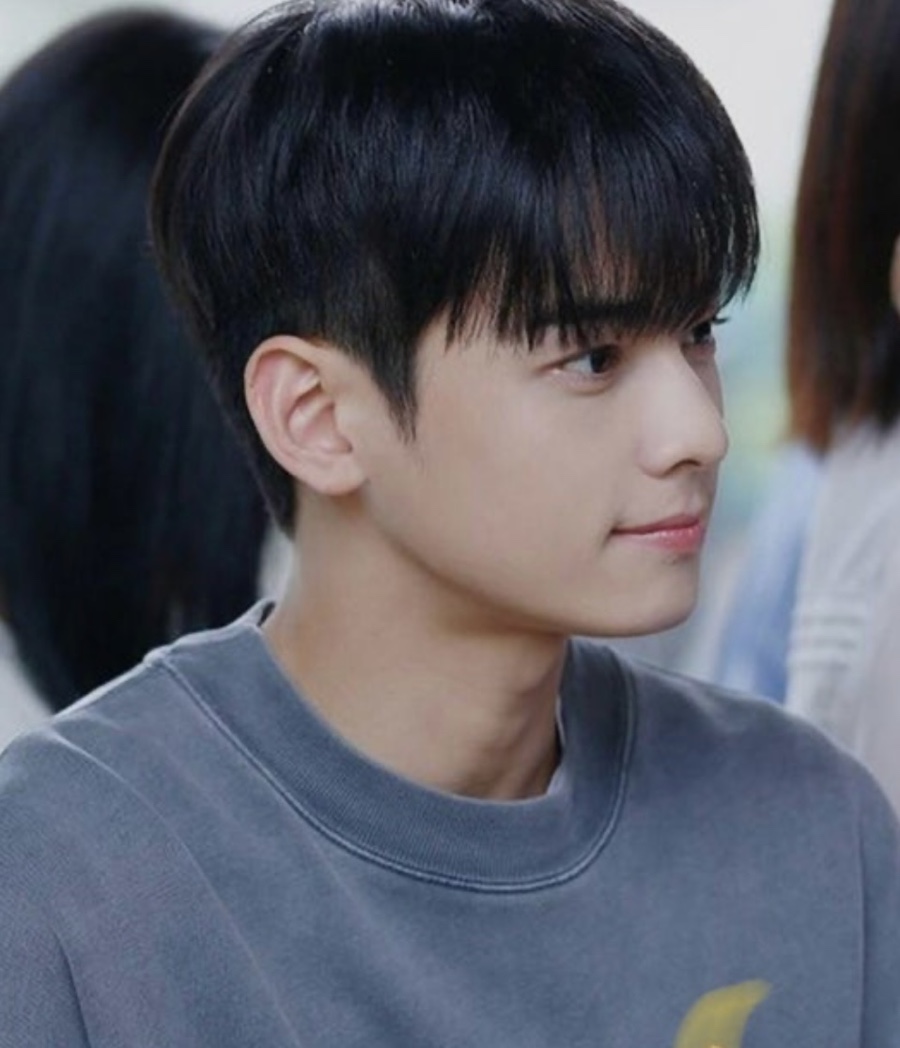 벨리티 이미지