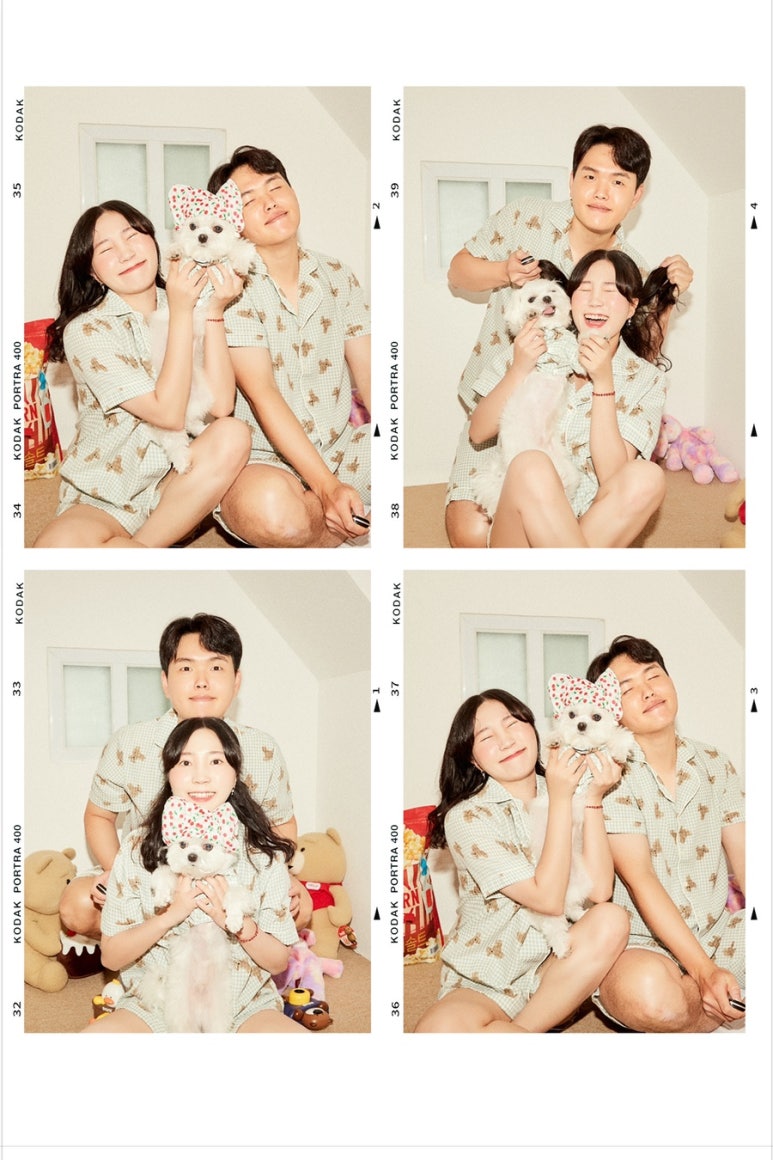 헤이셔터 이미지
