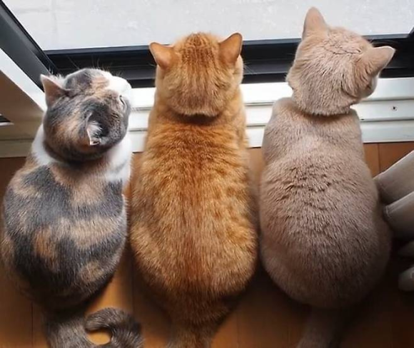 카페여가 이미지