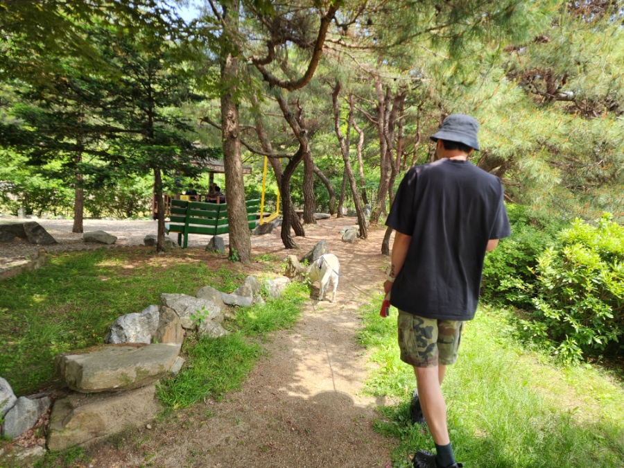 치악환경 이미지