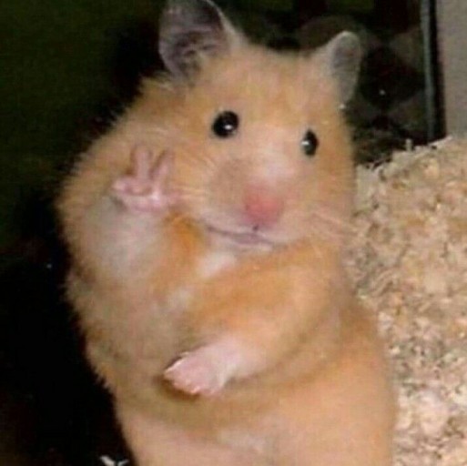 밍밍 이미지