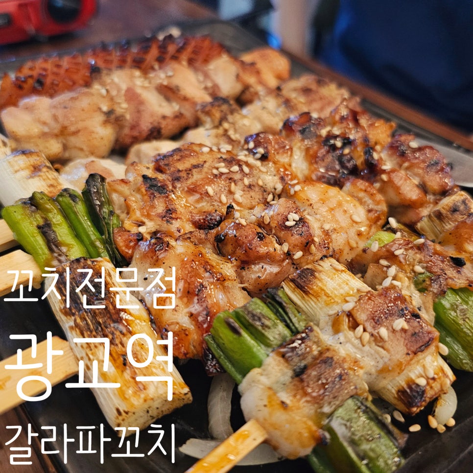 갈라파꼬치 이미지