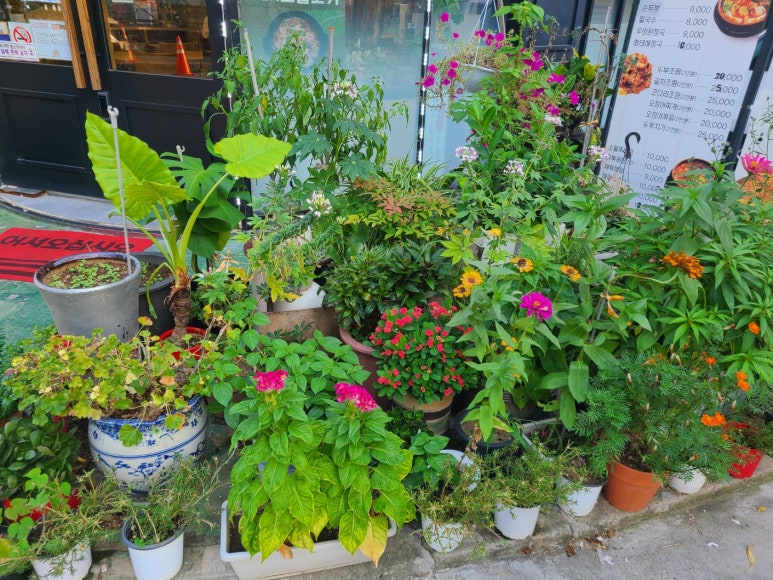 김사부코다리 이미지