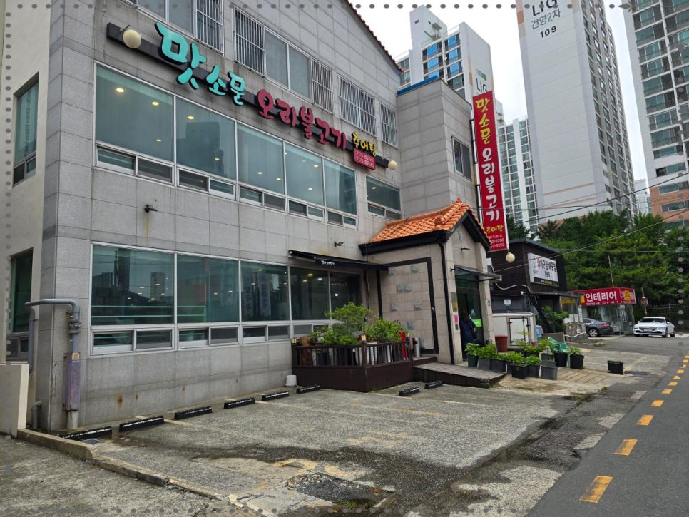 신선오리 이미지