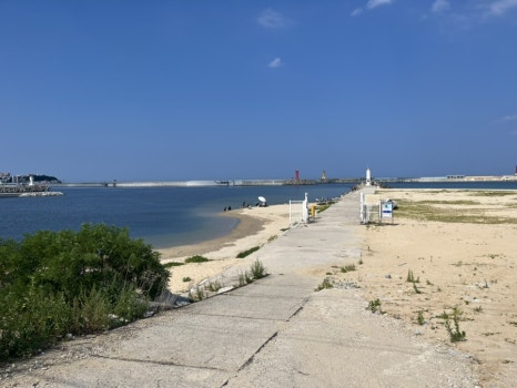 전설의바베큐 이미지