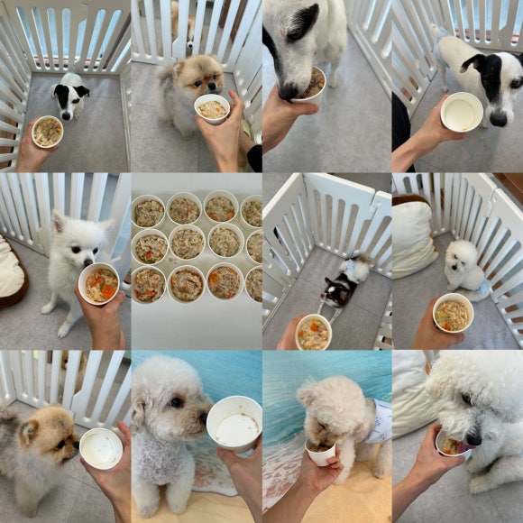 개르메스 이미지
