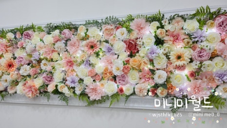 제니스네일1호 이미지