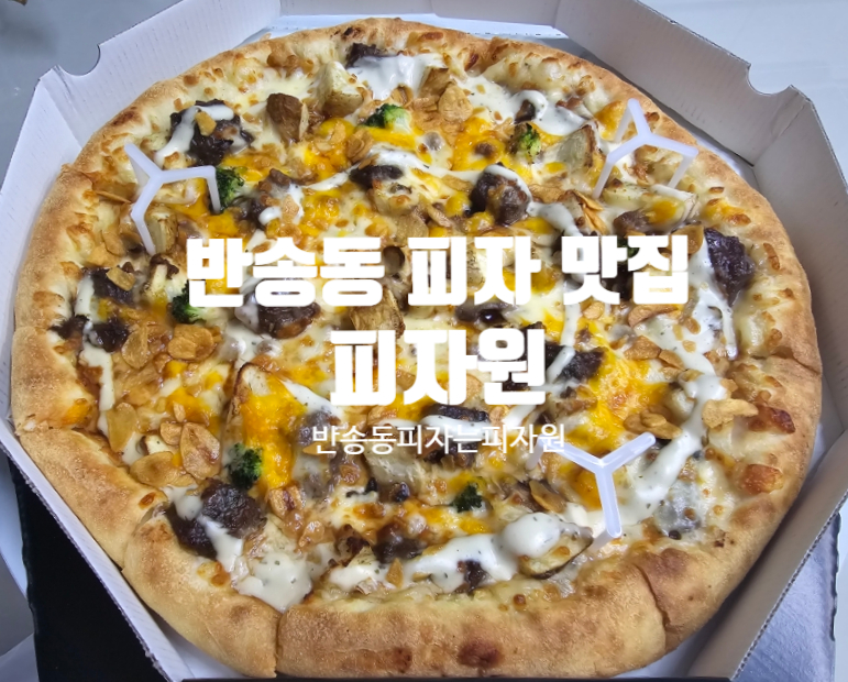 피자원 이미지