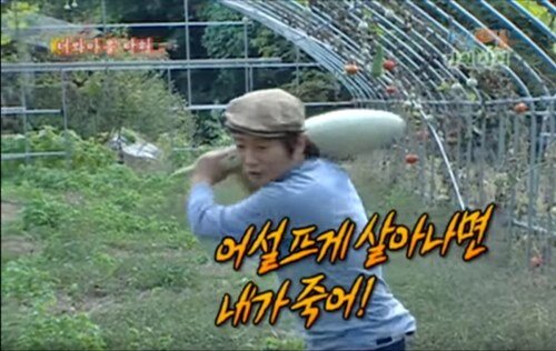 욜로와 이미지