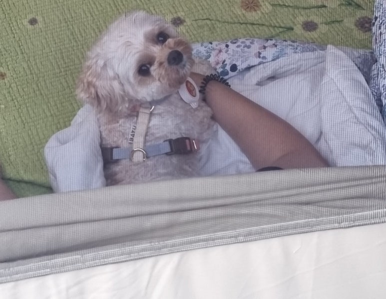 똑순이상회 이미지