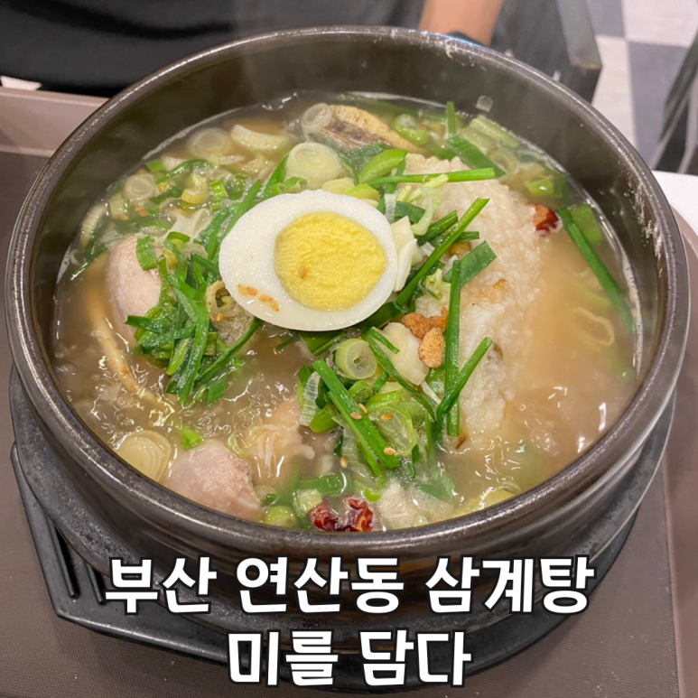 미를담다 이미지