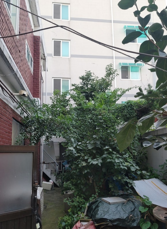 용남포차 이미지