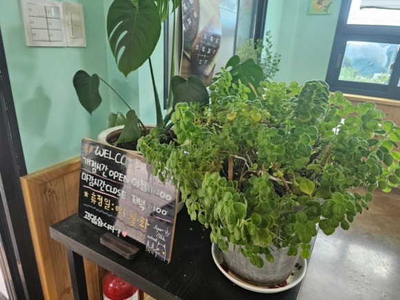 곰배골길146·29 이미지