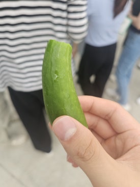 대관령원예농협 채소사업소 이미지