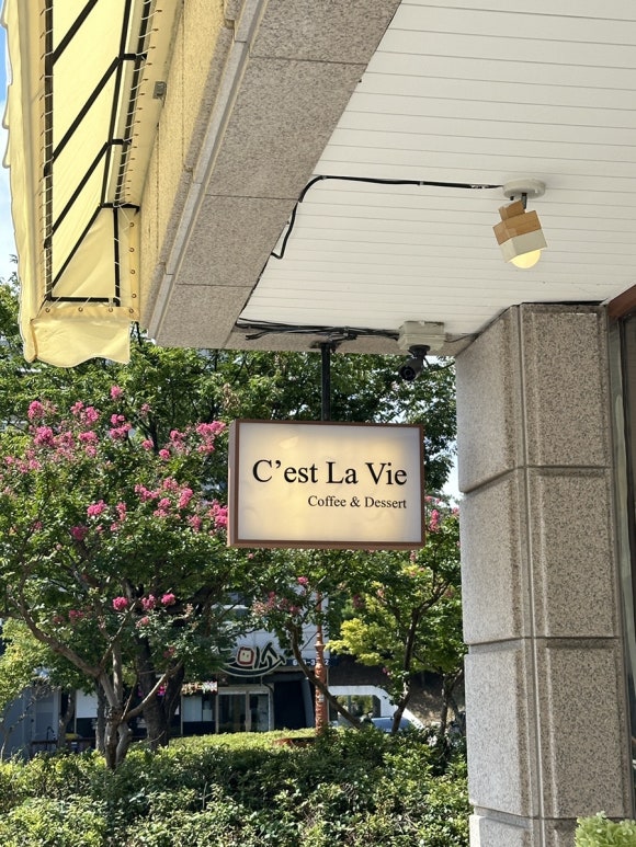 쎄라비카페 이미지