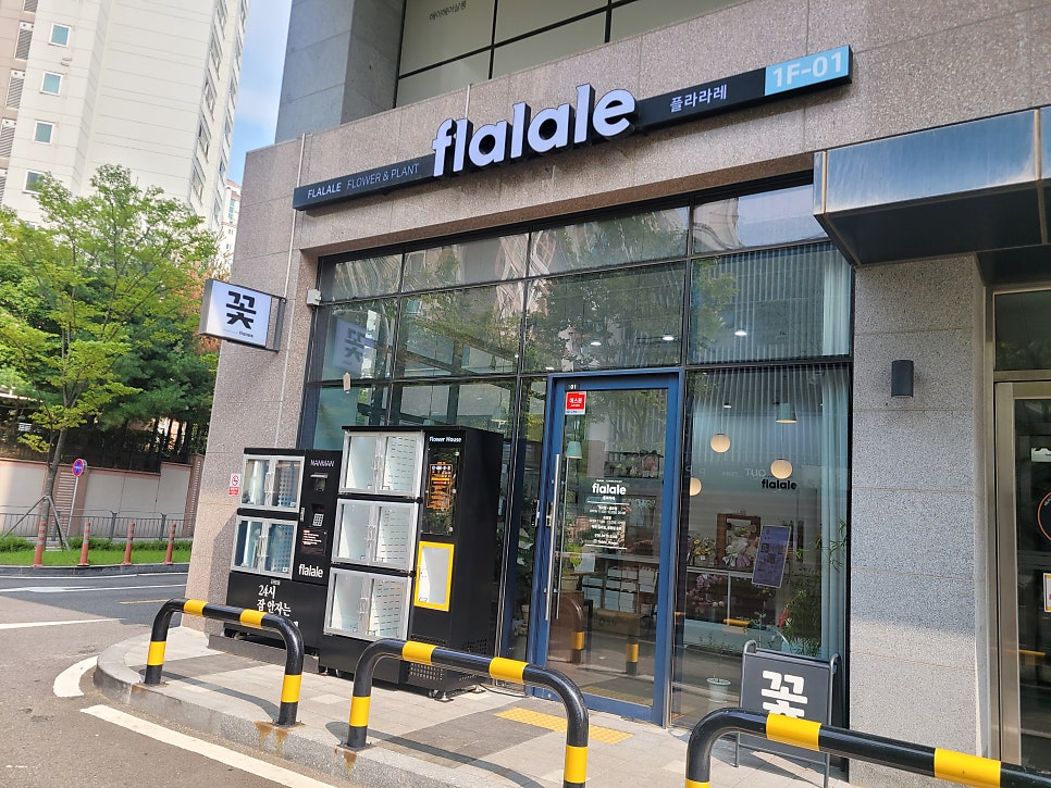 플라라레 이미지