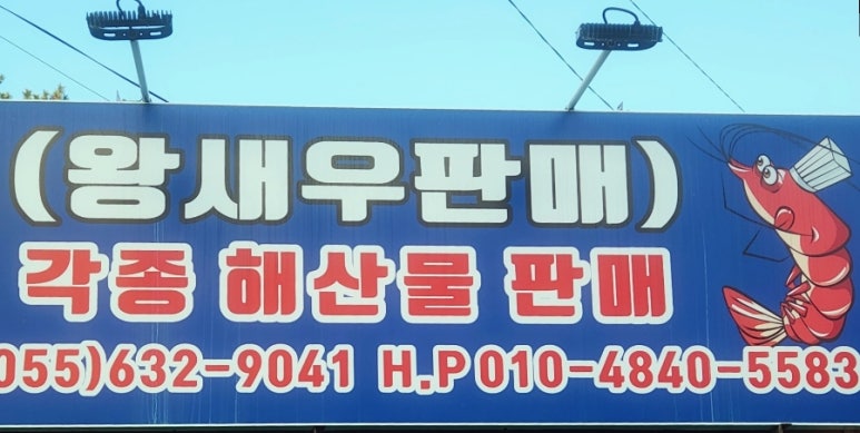 막썰어회센터 이미지
