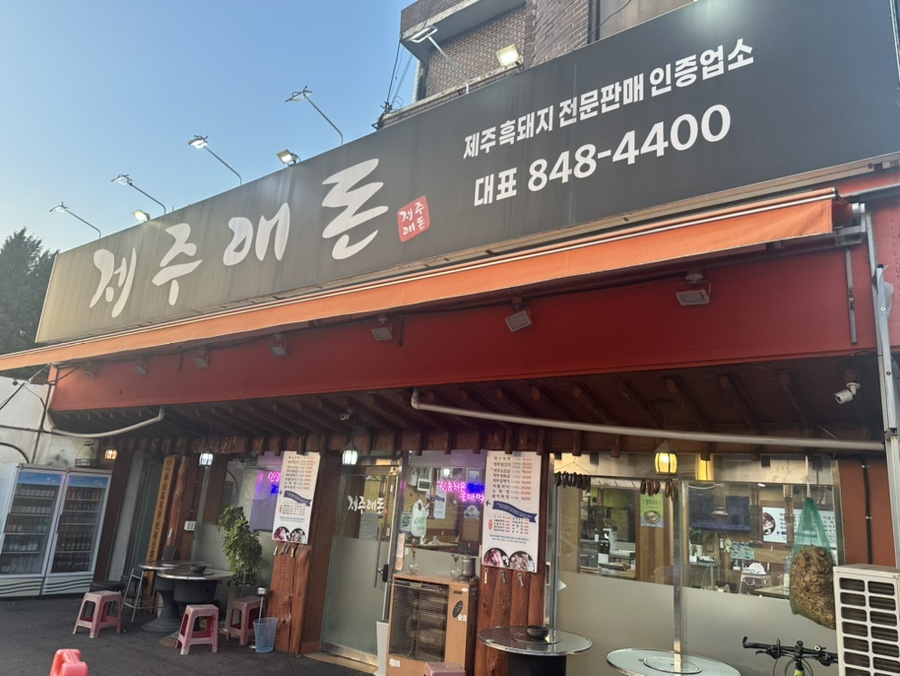 제주애돈 이미지
