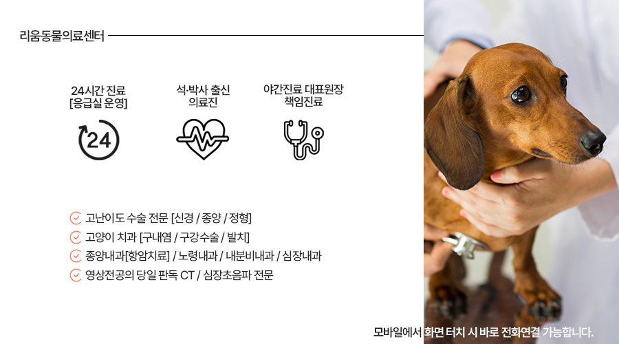 잠실 리움동물의료센터, 강아지 췌장암 수술 및 당뇨 관리 후기 — 사진 3