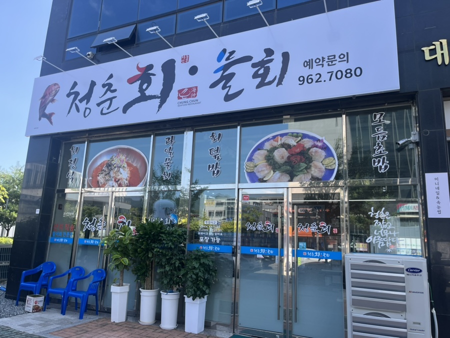 청춘회물회 이미지