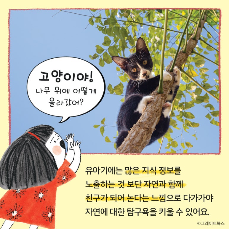 자연책사랑 이미지