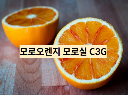 홀드에이지 이미지