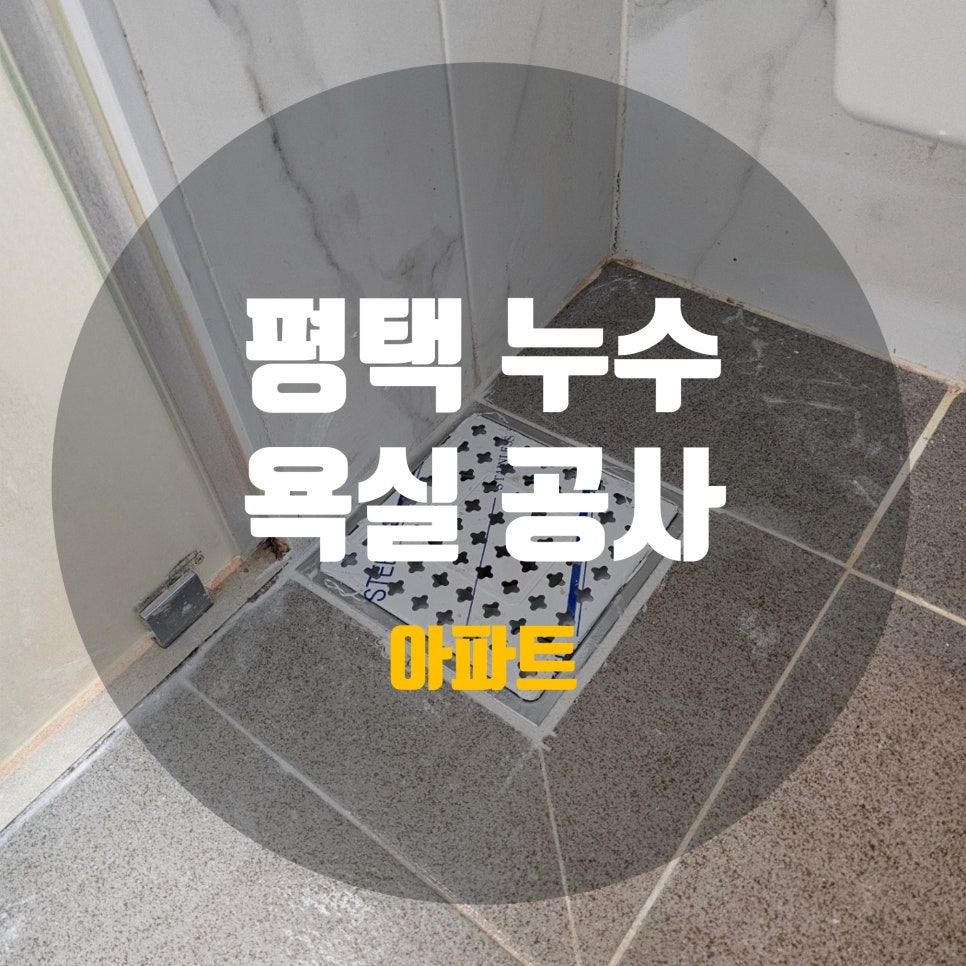 꽃보다욕실평택 이미지