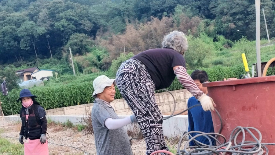 이씨미장 이미지