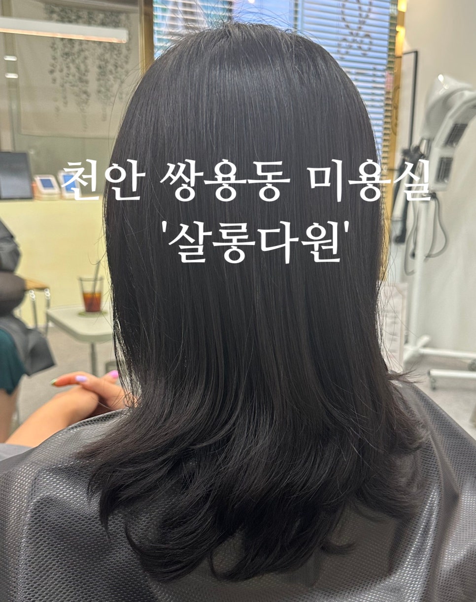다원미용실 이미지