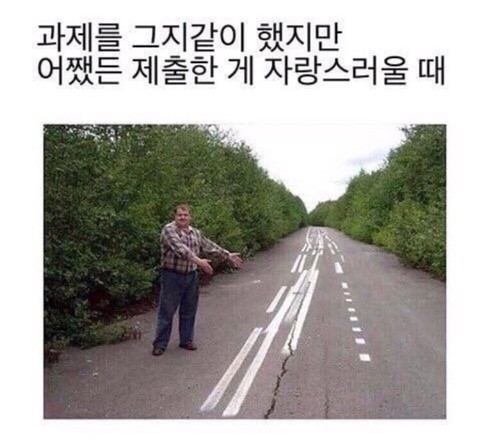 도도걸 이미지