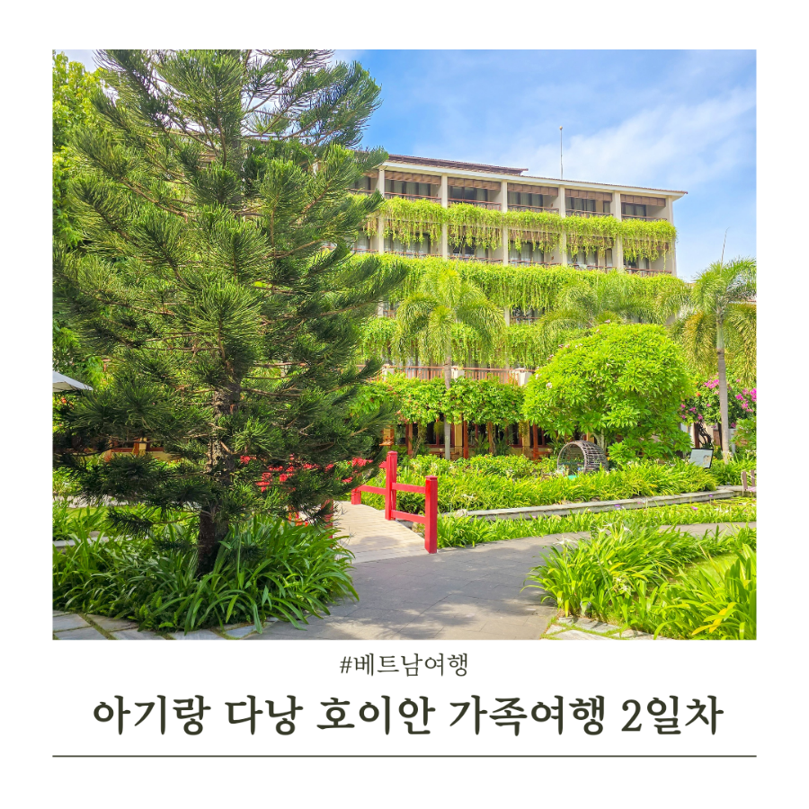 디어푸르츠 이미지