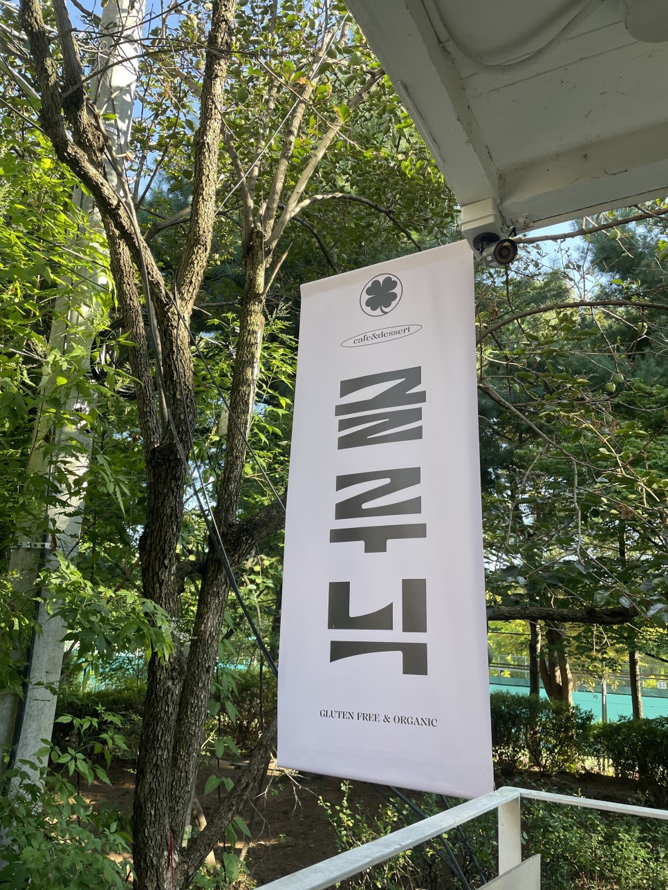 글루닉 이미지
