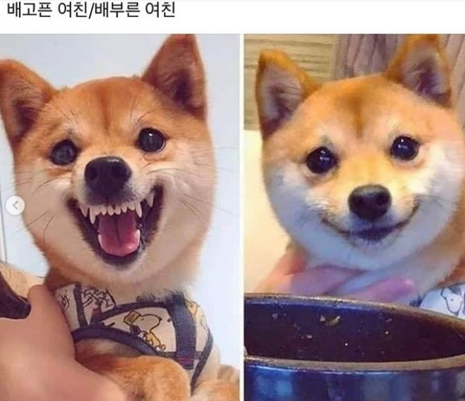 탕화쿵푸 이미지