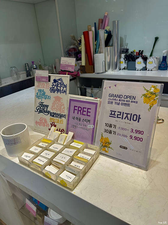 스노우폭스플라워강남 이미지