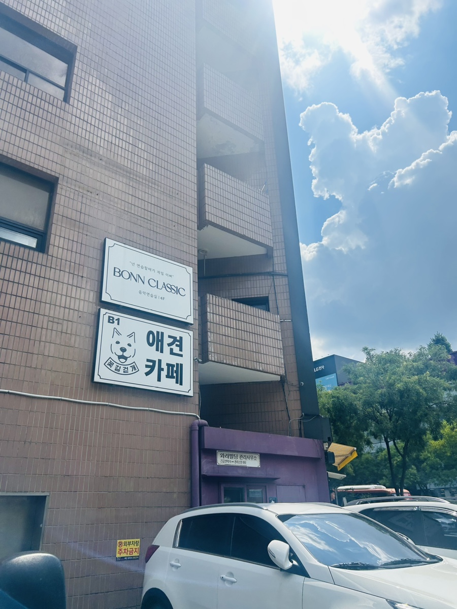 꽃길걷개 이미지