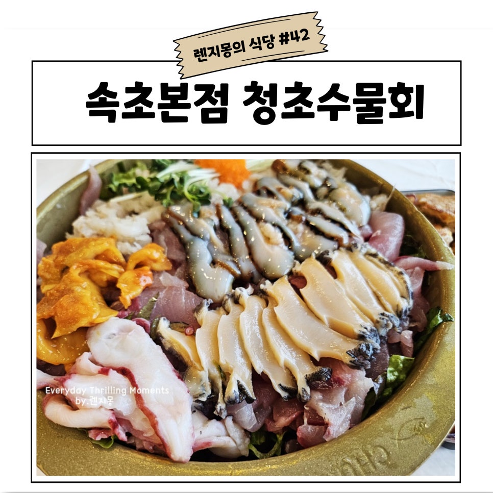 어돈 이미지